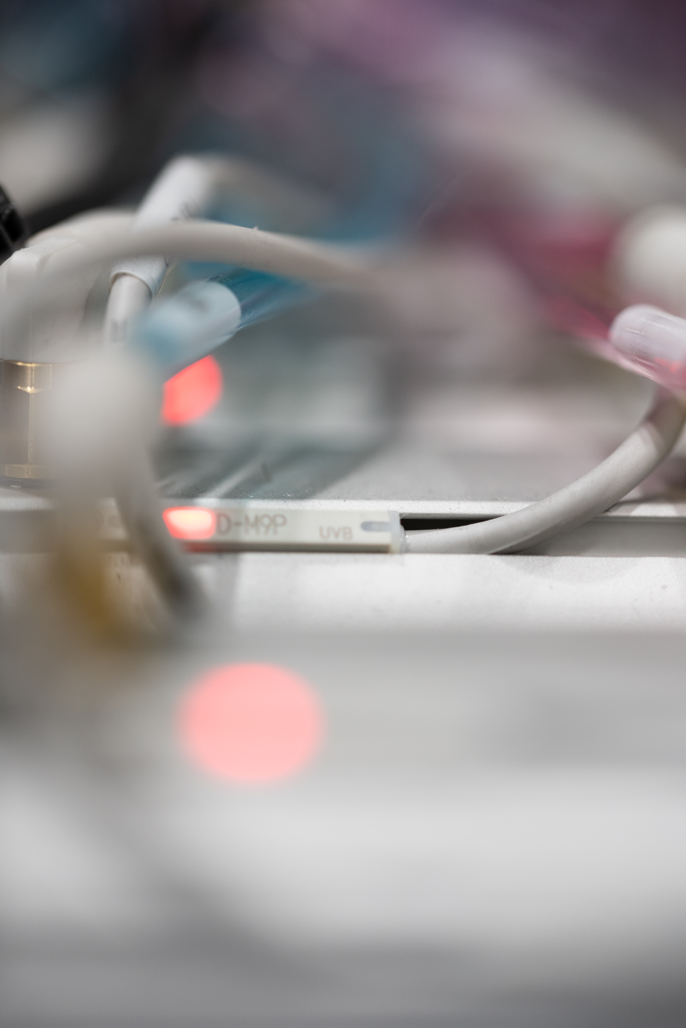 How Automation is Transforming the Food Packaging and Palletizing Industry